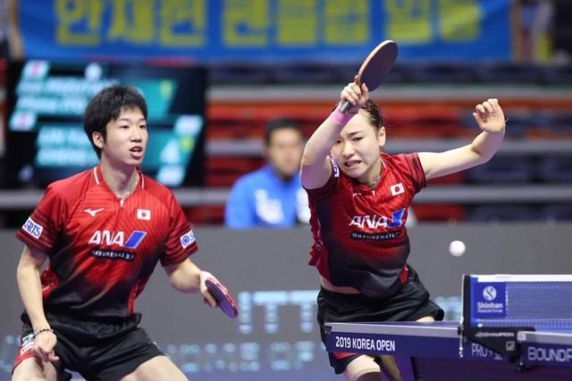 开云体育平台APP-韩国队横扫法国队，许昕统治全场